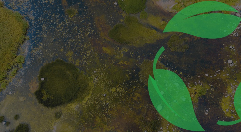 zerowaste.ee