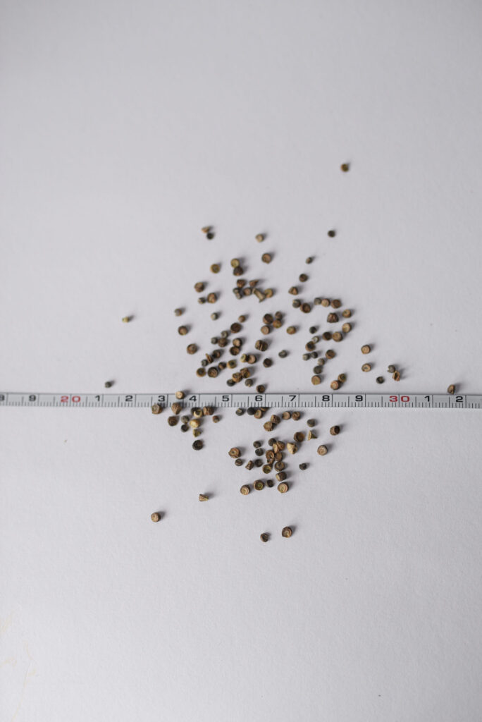 zerowaste.ee