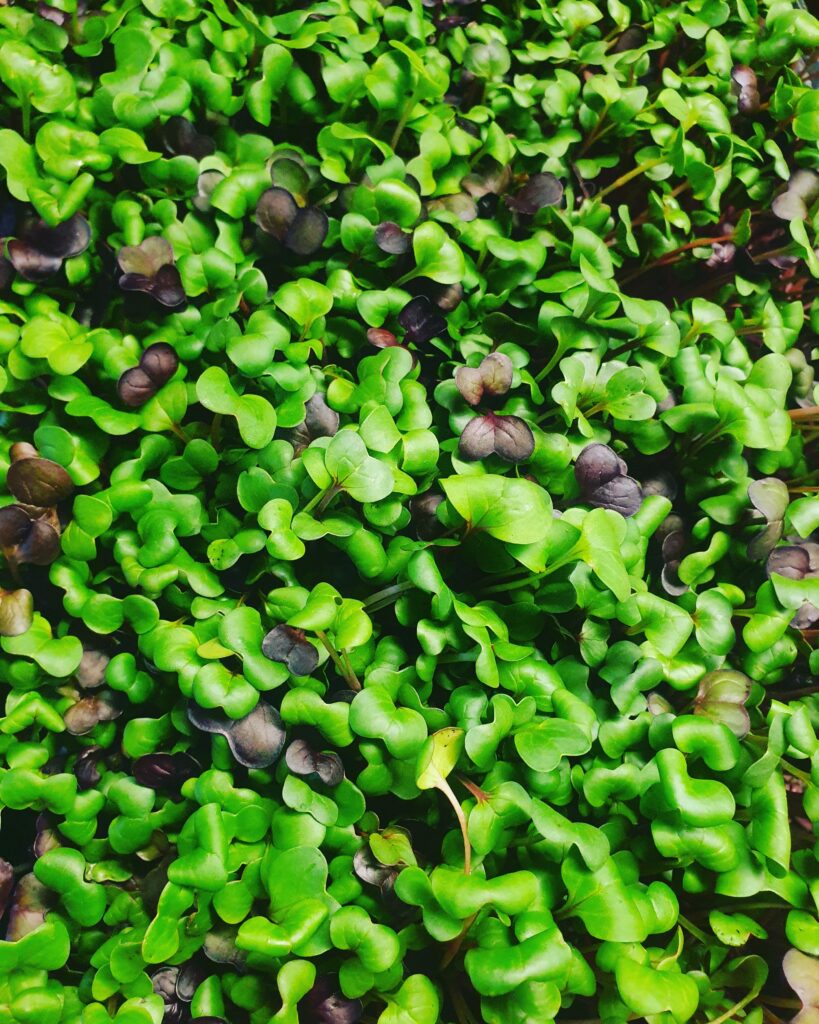 zerowaste.ee